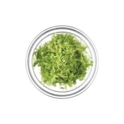 Microplane Premium Zester-Grater , Stainless Steel Blade - Green Handle 13 Microplane Premium Zester-Grater , Stainless Steel Blade - Green Handle -Sharp Haus Store microplane premium zester grater stainless steel blade green handle 5