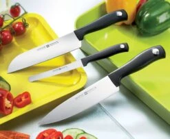 Wusthof Silverpoint Fillet Knife 16cm -Sharp Haus Store wusthof silverpoint fillet knife 16cm 1