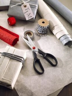 Zwilling Kitchen Scissors 20.5cm - Stainless Steel Blades -Sharp Haus Store zwilling kitchen scissors 21cm stainless steel 1