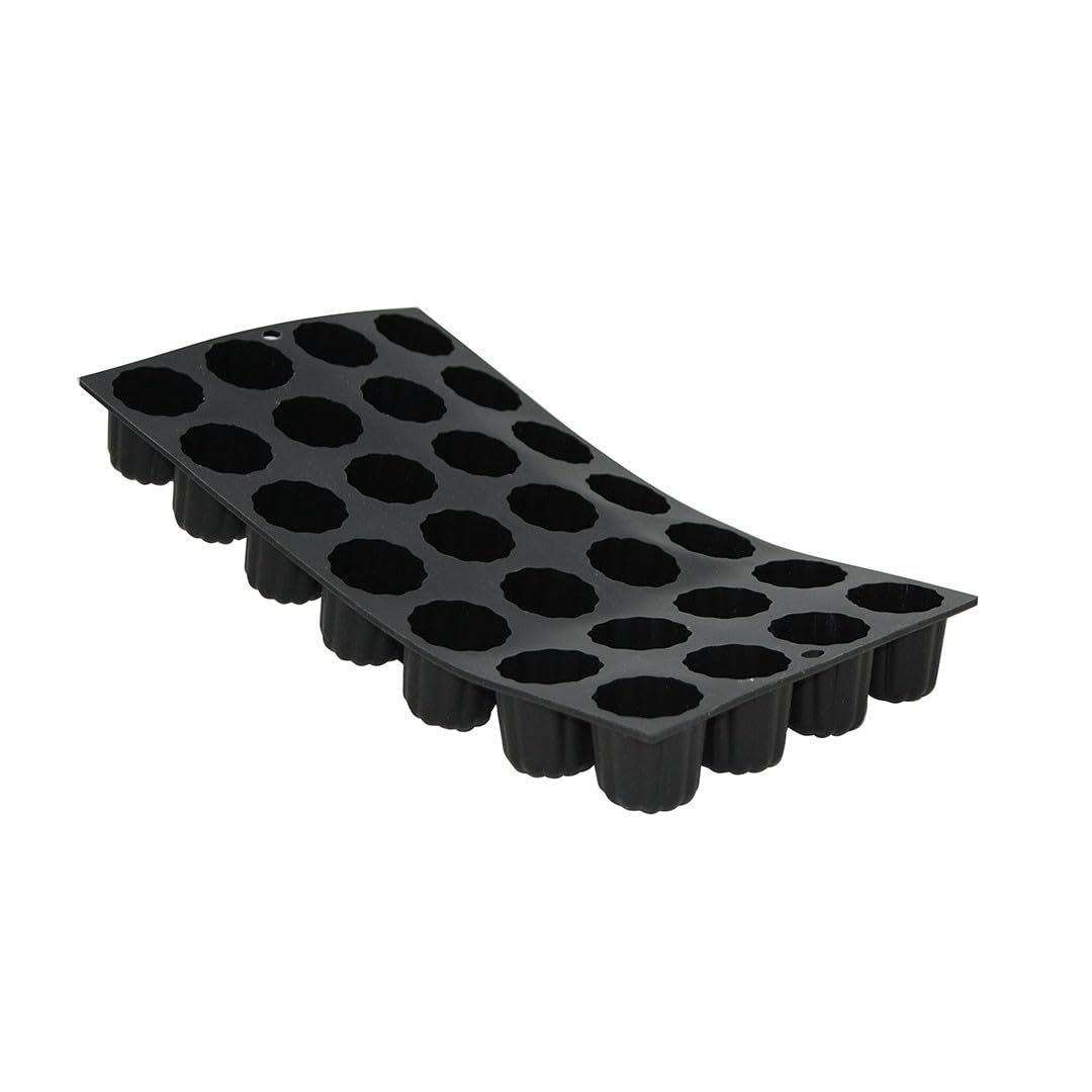 Sharp Haus Store -Sharp Haus Store 41njtZRHiAL